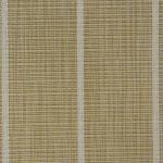 jack-lalanne-straw_1